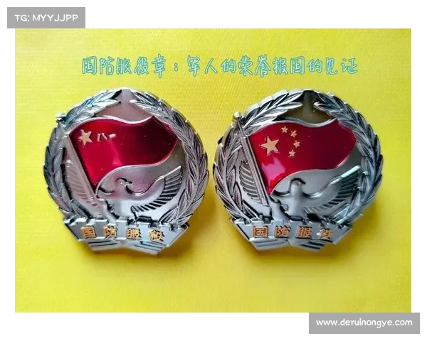 勇敢之路的英雄传奇 荣誉勋章战士们的无畏与荣耀 勇敢之路的英雄传奇 荣誉勋章战士们的无畏与荣耀