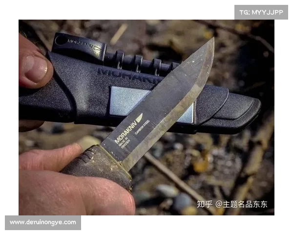 全方位指南：2023法国对波兰比赛高清直播与回放在线观看渠道深度解析