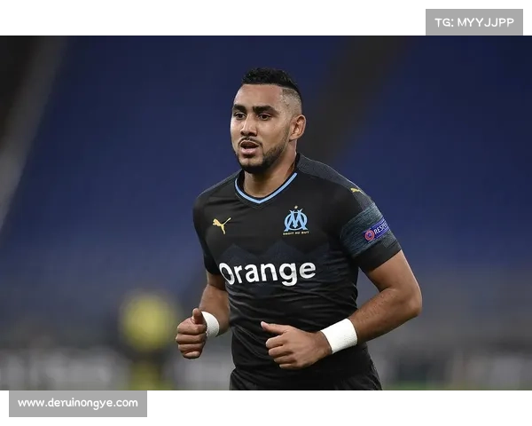 全面解析如何识别法甲冠军标志的实用图文详解步骤指南全流程手册 全面解析如何识别法甲冠军标志的实用图文详解步骤指南全流程手册